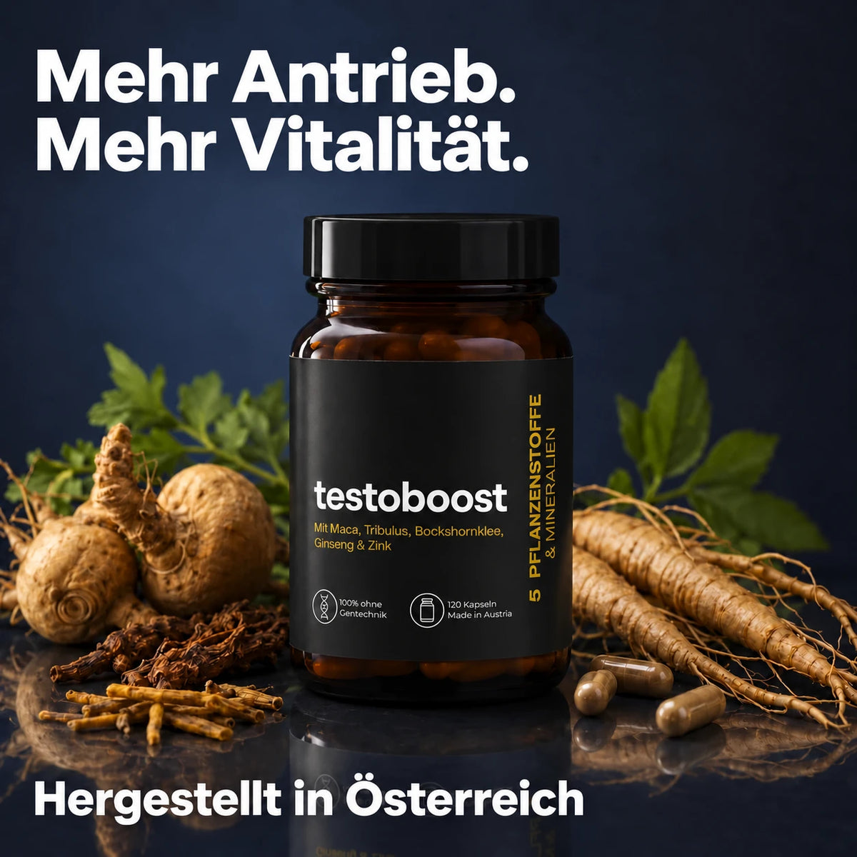 Testoboost - 120 Kapseln